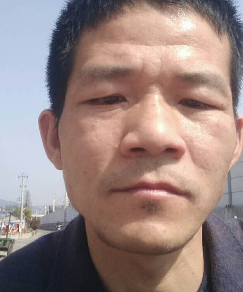 一帆风顺