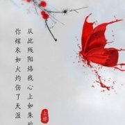 忆寒