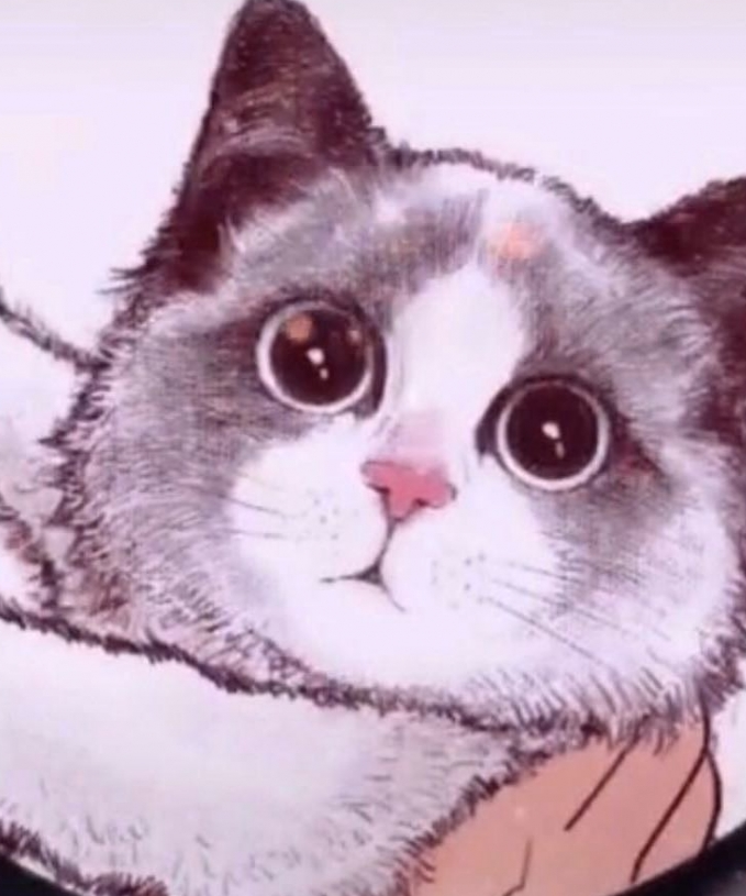 马艺芝